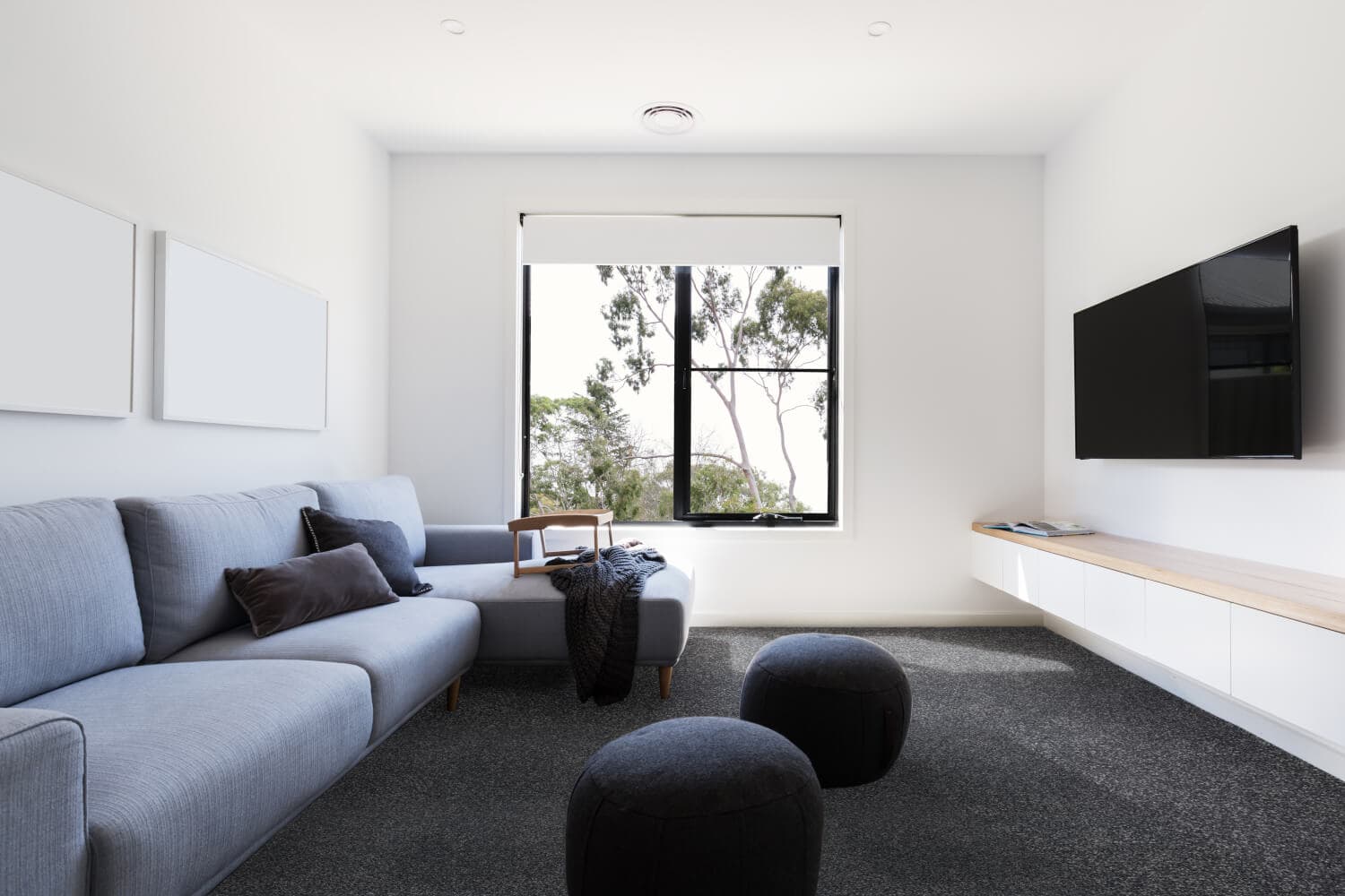 Carpet in living & family rooms