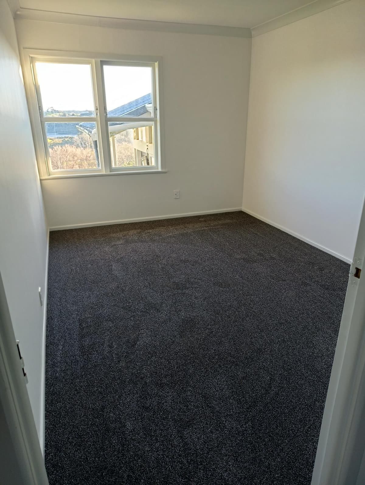 Residential Carpet